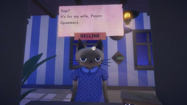 Your Ultimate Guide to Downloading Cat Mail Co. for Cats | cubs bet, hot football tips, situs slot d